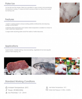 Flake Ice Maker